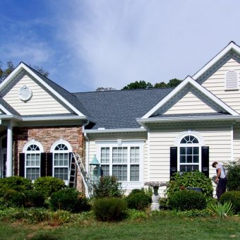 asphalt shingles